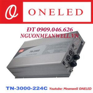 Nguồn Meanwell TN-3000-224C